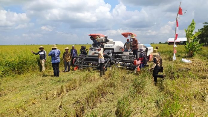 Pemkab Seruyan terus melakukan upaya maksimal,mengembangkan sektor pertanian. Berharap potensi sektor pertanian bisa mewujudkan lumbung padi Seruyan.