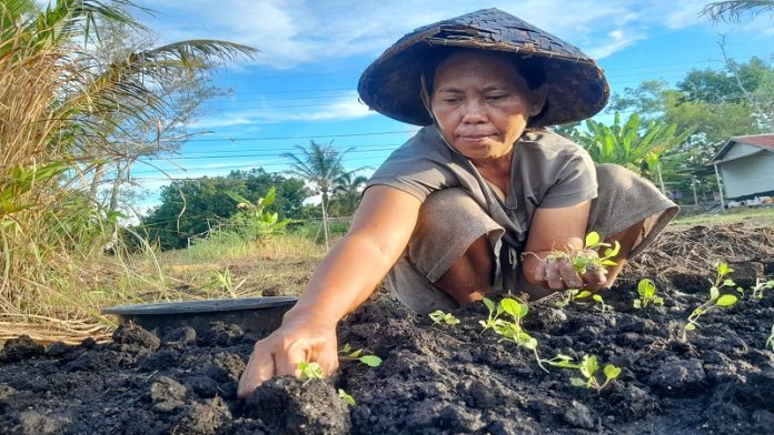 Berkat Usaha, Mampu Menyekokahkan Anak Pertama Hingga ke Luar Negeri