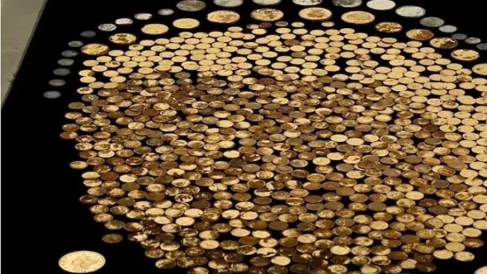 Seorang Pria Menemukan 700 Koin di lahan Peternakannya